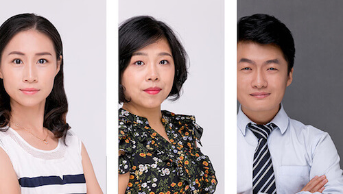 team professional-team