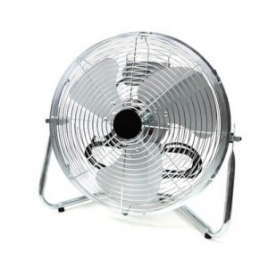 fan